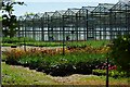 Harnetts Glasshouses