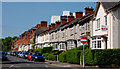 Stranmillis Gardens, Belfast