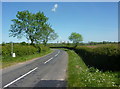 Forewood lane towards Treswell