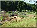 Allotments, Morganstown