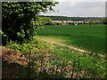 Ansley Common seen from Bret