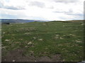 Site of a Homestead above Biddlestone