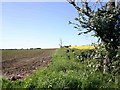 Farmland in SE corner of gridsquare