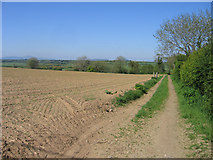 S7615 : Arable farmland near Tullerstown, Co. Wexford by Rodney Burton