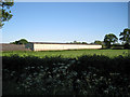 The longest shed, Table Oak Farm