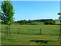 Ashdown Farm, Lambourn