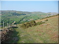 Track descending into the Nant-y-coed valley