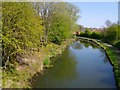 Stourbridge Canal