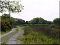 Track heading to Blaen-y-waun