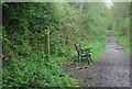 Footpath crosses the Downs Link