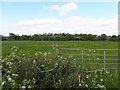 Derryany Townland