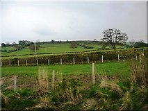 SH8931 : Hillside fields, south of Ffynongower by Christine Johnstone