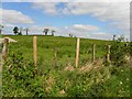 Derrycorby Townland