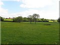 Mullaghboy Townland