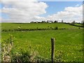 Corsenshin Townland