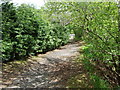 The path down from the War Memorial