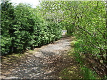 NJ8300 : The path down from the War Memorial by Stanley Howe