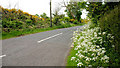 The Lisbane Road near Saintfield (1)