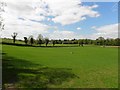 Gortinure Townland