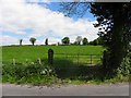 Gortinure Townland