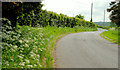 The Lisbane Road near Ballynahinch