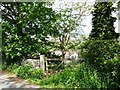 Back garden gate