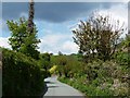 The road to Llangollen