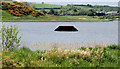 Lough Henney near Boardmills