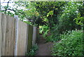 Footpath behind Hill View Rd (2)