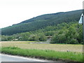 Bend in River Enrick near Strathnacro