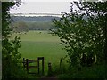 Arrival at field between Hurtmore and Compton