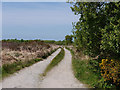 Track over Rhos Cilcennin