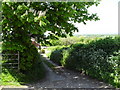 Path from St Aldhelm