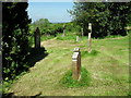 A sunny Saturday lunchtime in Belchalwell Churchyard (7)