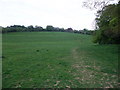 The Clarendon Way passing Middle Winterslow