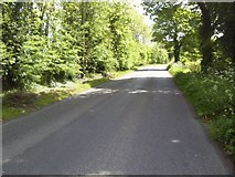 N8757 : Country Road, Co Meath by C O'Flanagan