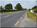 N8555 : Main Road, Co Meath. by C O'Flanagan