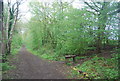 Bench by the Downs Link