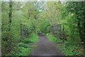 Bridge on the Downs Link near Cranleigh