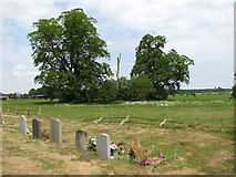 TL7789 : St Mary's church in Weeting - churchyard by Evelyn Simak