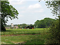 Fields east of St Mary