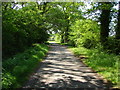 Green Lane West, Ash Green