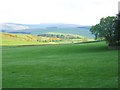 Grazing lands at Chaplehill