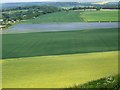 Colour in the fields, Fovant