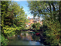 Osney Backwater