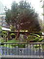 Gardens at the junction of Edgware Road and Sussex Gardens