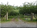 H9853 : Orchard gates by Ian Paterson