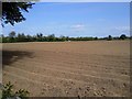 N8657 : Ploughed Field, Co Meath by C O'Flanagan