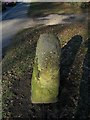 Stone marker, Kenilworth Road