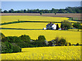 Quinbury Farm near Hay Street, Hertfordshire